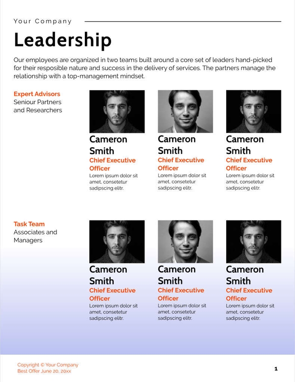Free proposal digital consulting template